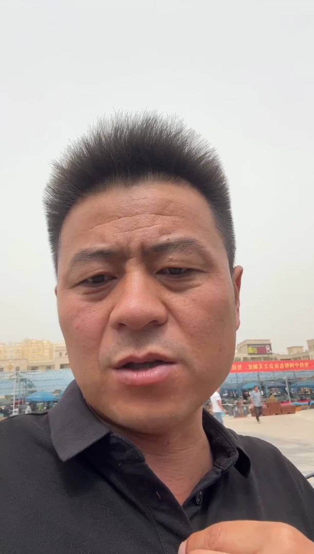 未镶嵌和田玉（糖玉）挂件和田玉