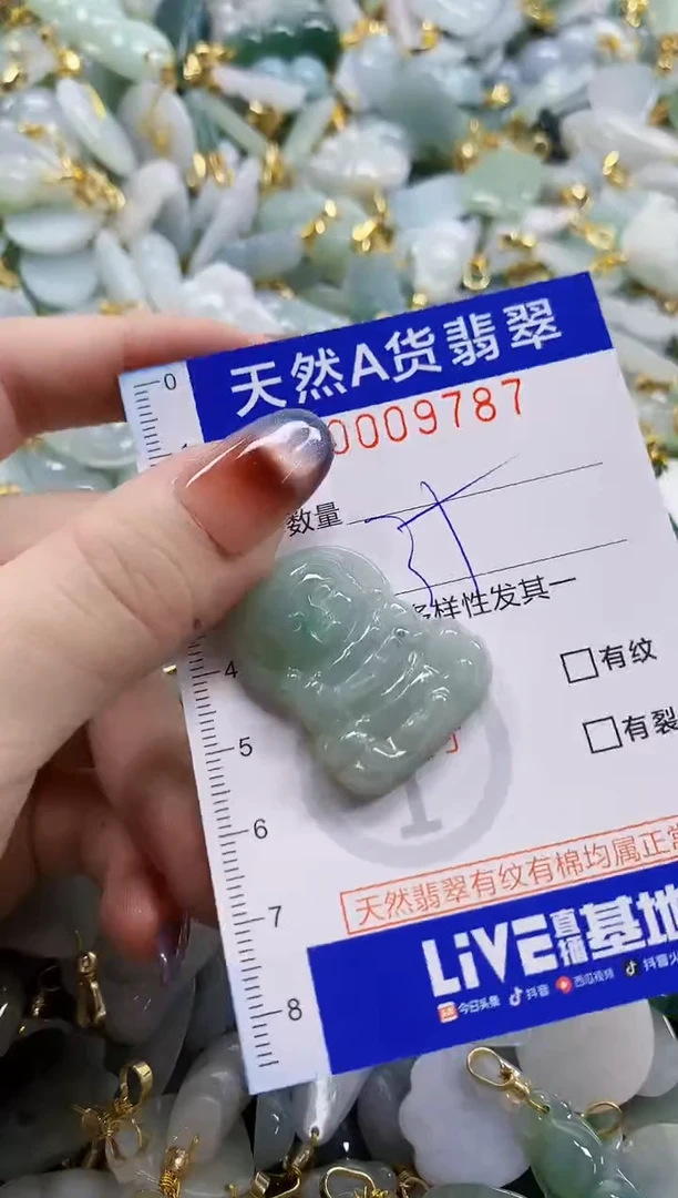 颈饰未镶嵌翡翠天然A货翡翠