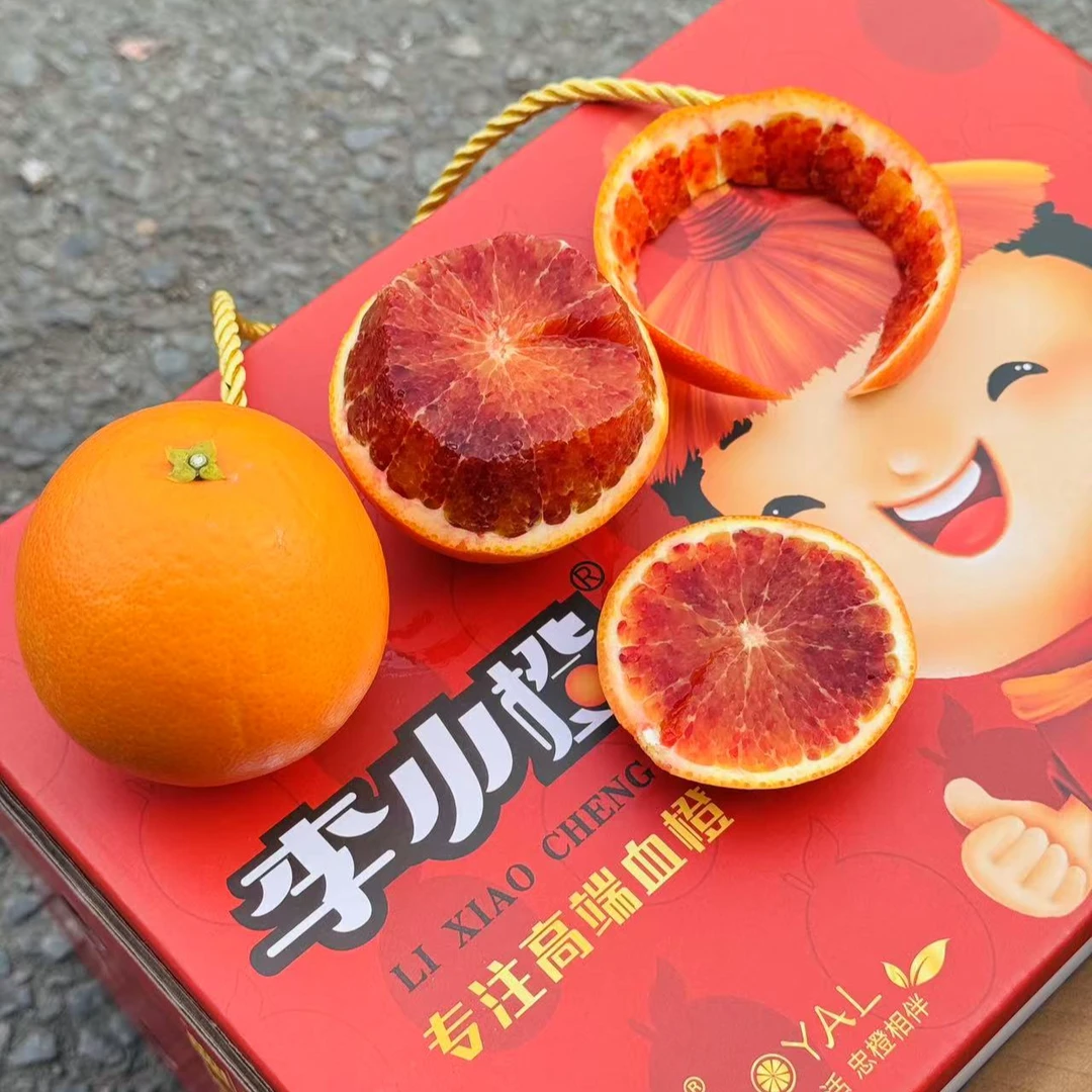 《果虎》玫瑰血橙一箱4.5斤  包邮血橙