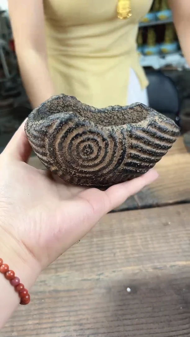 陶土【火山泥】小蜗牛
