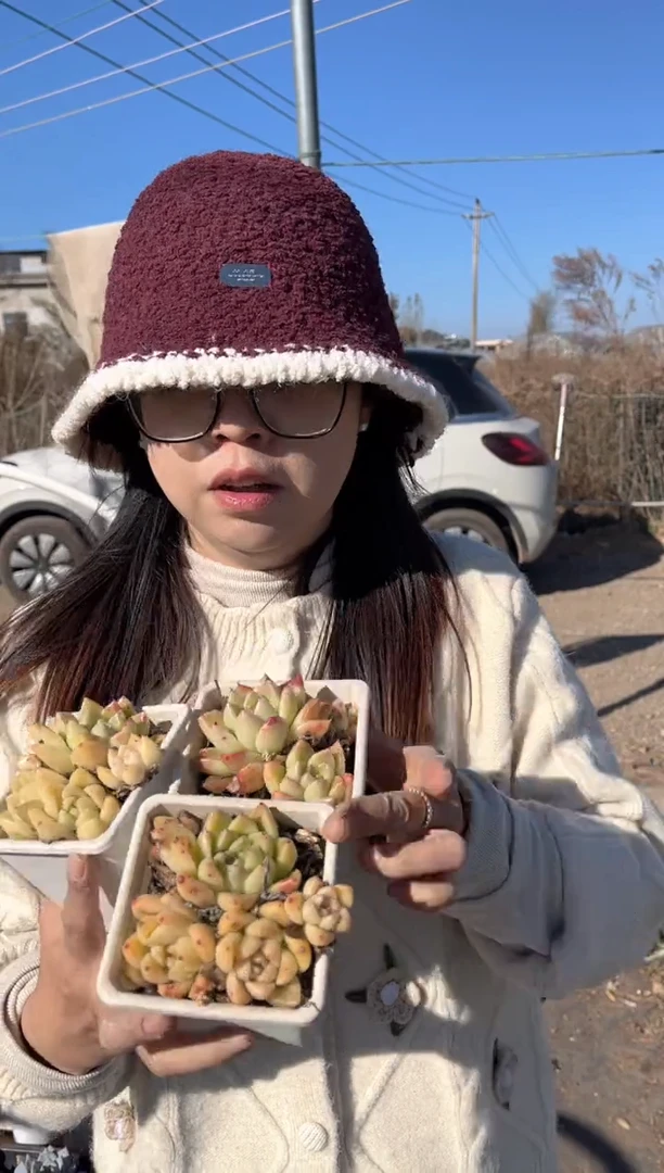 【闪购商品】60-石英三颗5