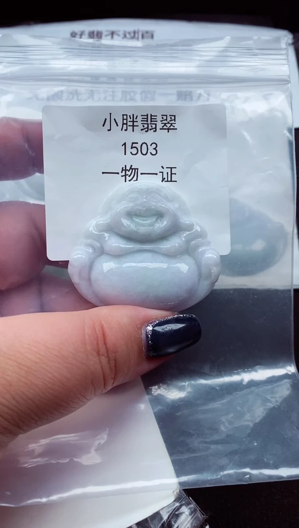 颈饰未镶嵌翡翠缅甸天然A货翡翠1503