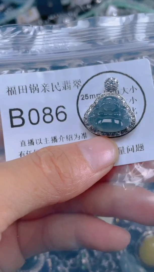 翡翠未镶嵌颈饰086