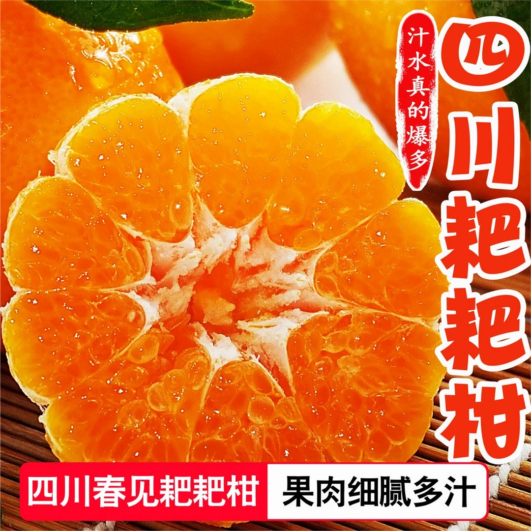【实惠装】四川春见耙耙5/9斤柑橘子桔子丑八怪丑橘新鲜水果