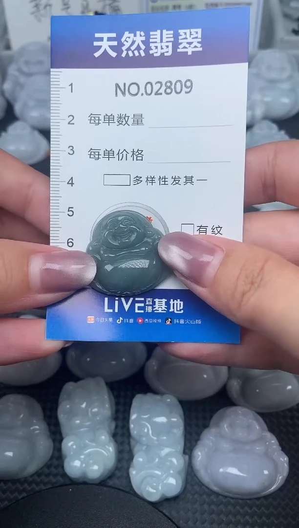颈饰未镶嵌翡翠纯天然A货翡翠