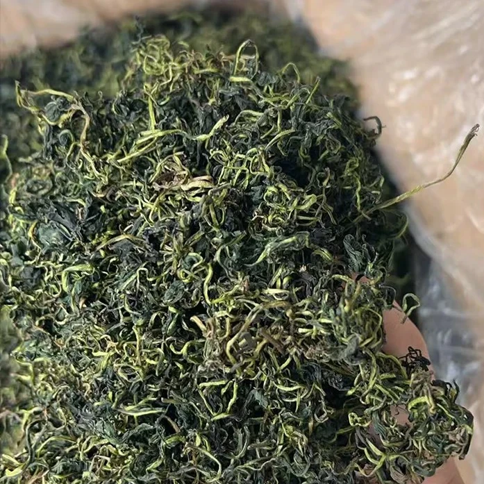 湘西农家蒲公英新枞兰花香浓香