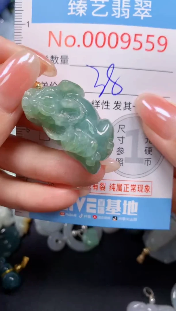颈饰未镶嵌翡翠9559