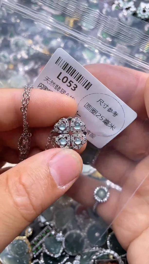 【闪购商品】翡翠颈饰未镶嵌L053项链