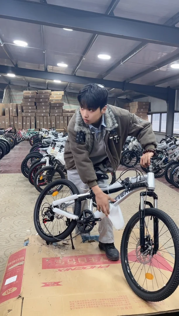 22寸-7速-银【默认微瑕，不退不换，介意勿拍】