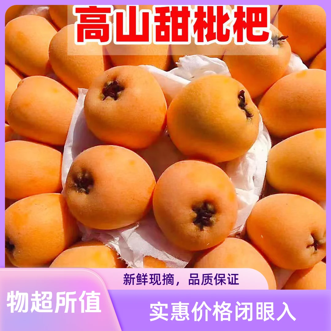 【顺丰包邮】四川大凉山大五星枇杷新鲜采摘发货软糯香甜坏果包赔