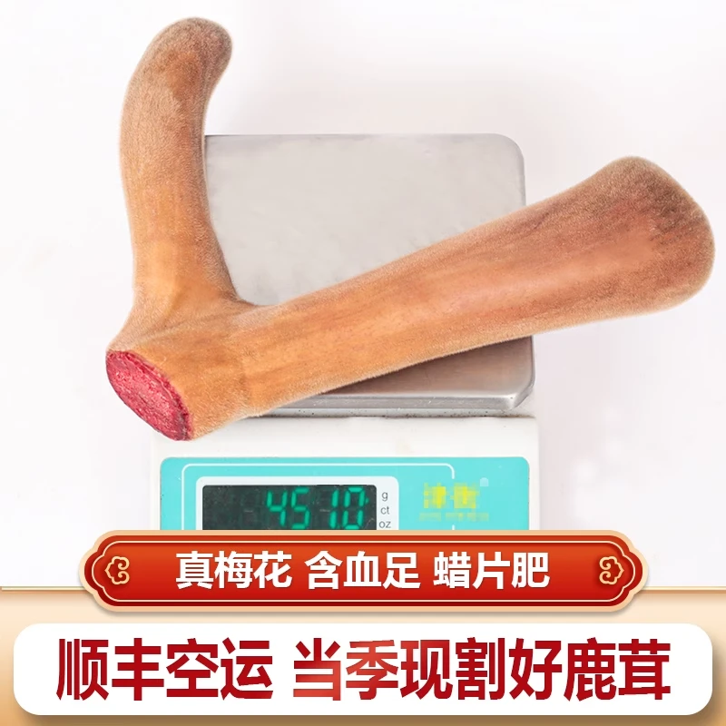 梅花鲜鹿茸二杠 620g 整只鲜鹿茸泡酒煲汤生鲜产品克重会有浮动