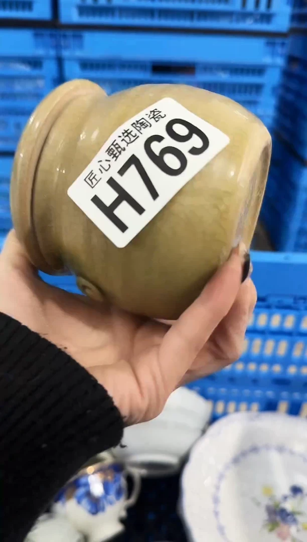 瓷片邹****?         H769