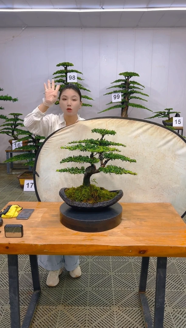 无花朵一物一拍一物一拍