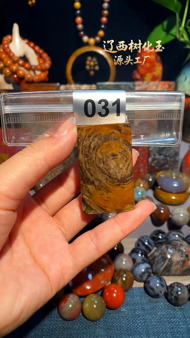 未镶嵌-硅化玉天然北票硅化玉吊坠