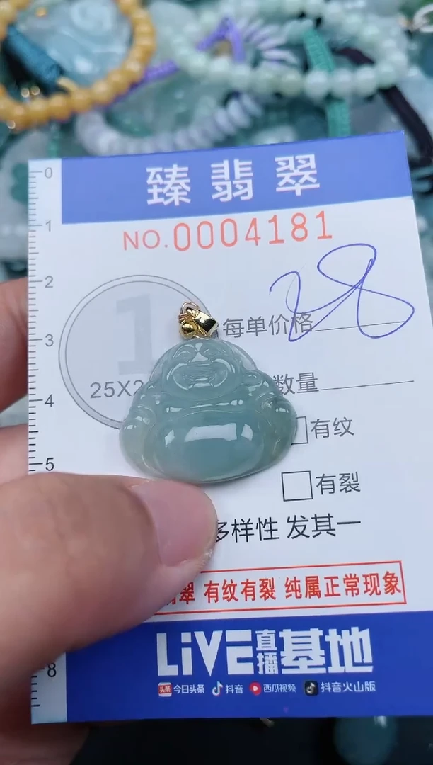 翡翠未镶嵌颈饰.0004181