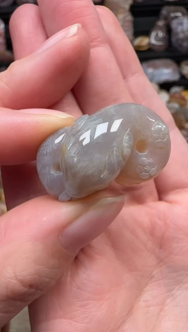 颈饰未镶嵌硅化珊瑚（珊瑚玉）826