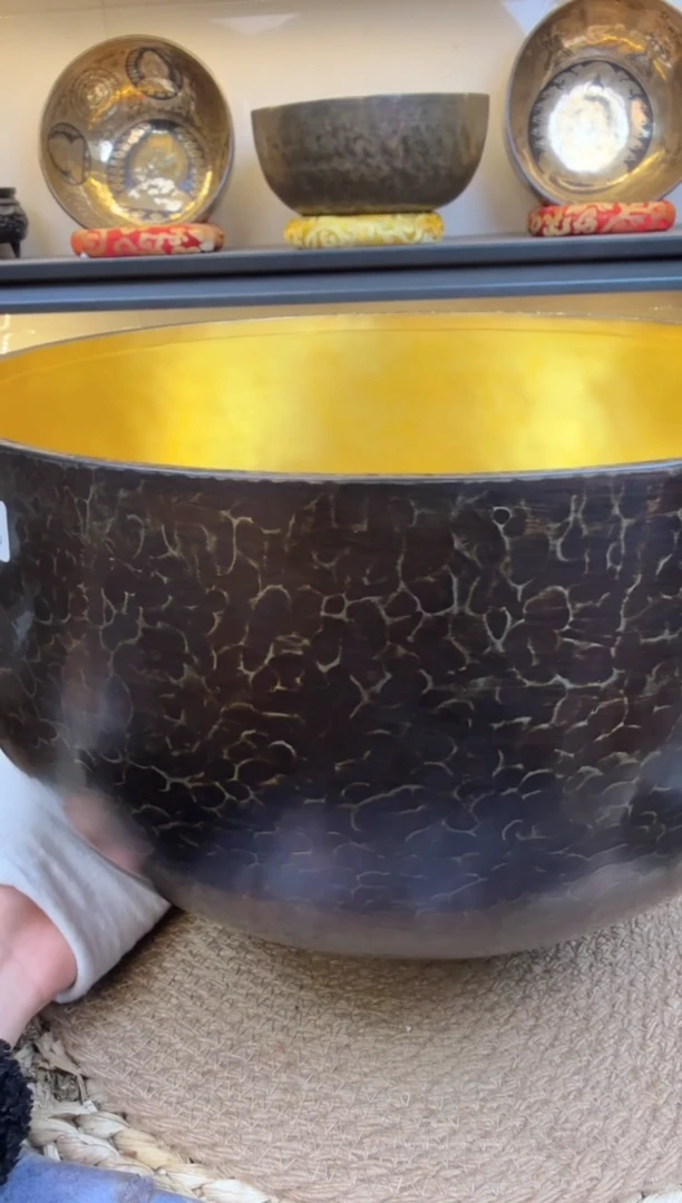 【闪购商品】11111111111111111