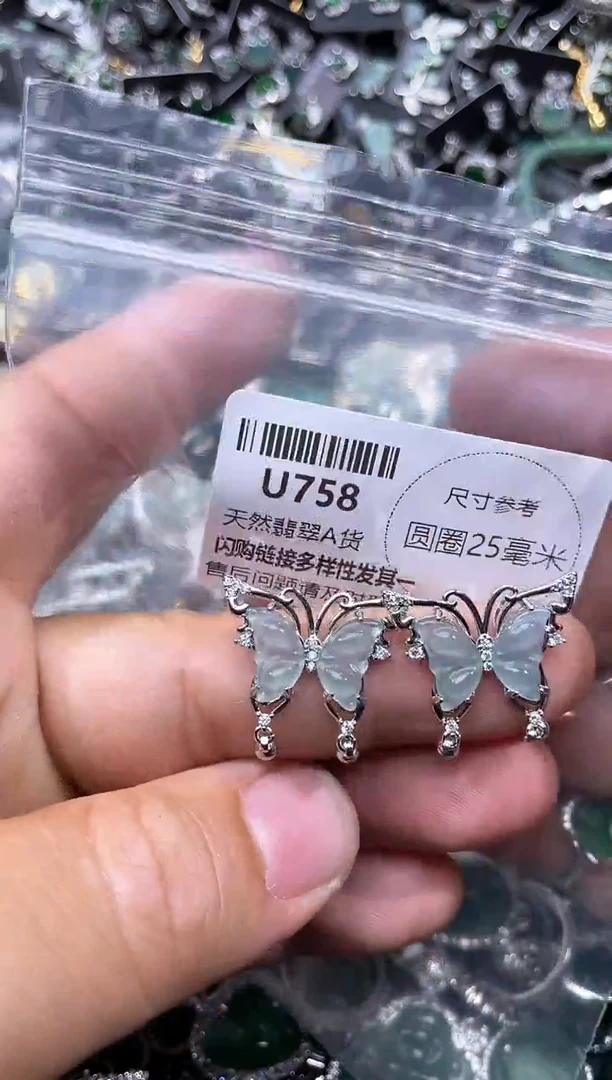 【闪购商品】翡翠颈饰未镶嵌U758多样性发其一