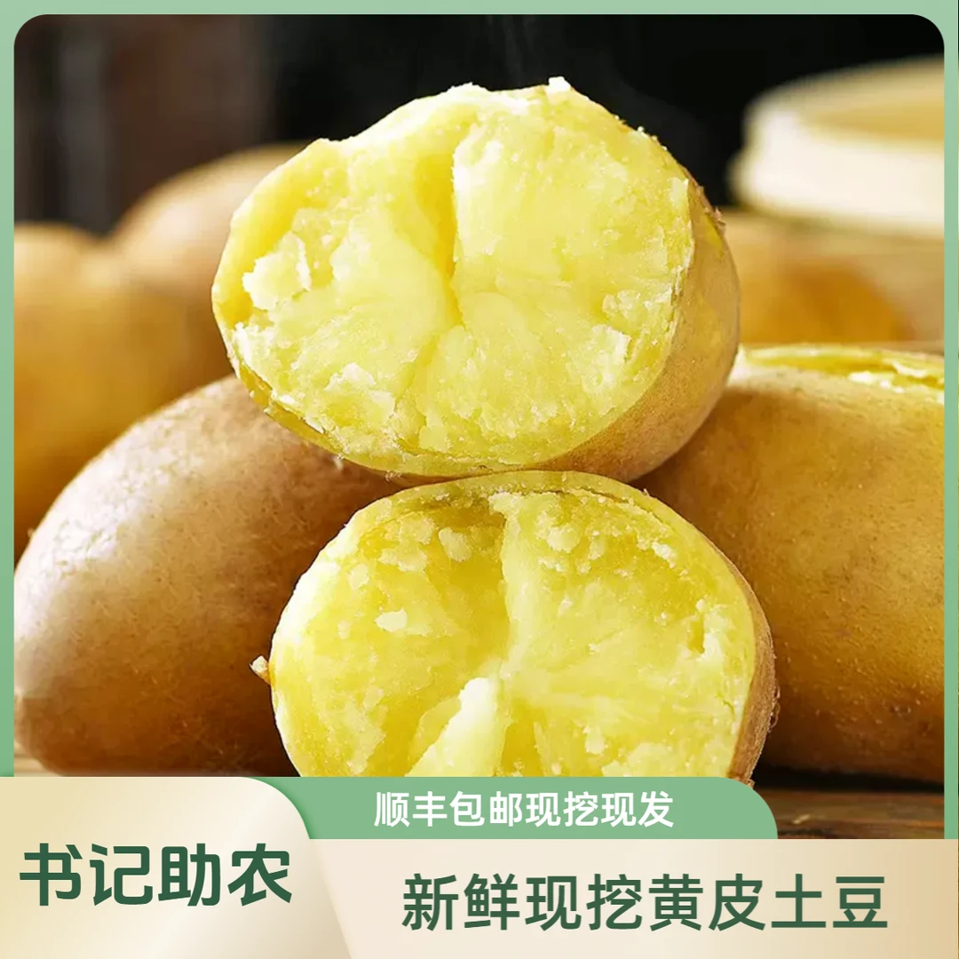 【书记助农、顺丰包邮】山东黄皮土豆5斤