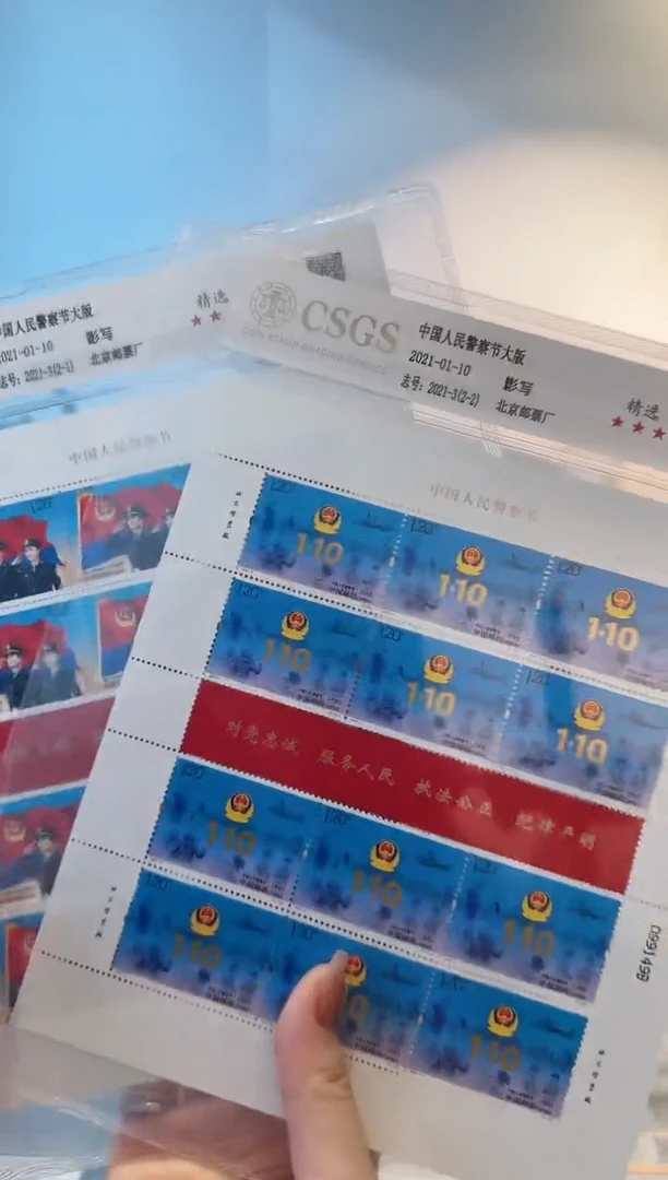 警察节大版  封装评级