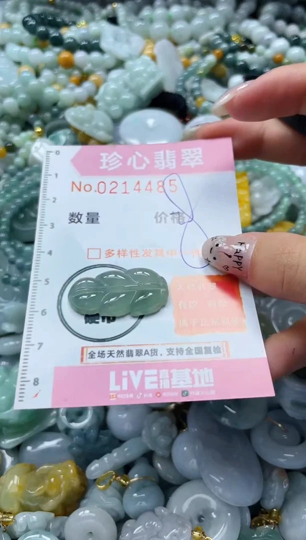 翡翠未镶嵌颈饰闪购0214482