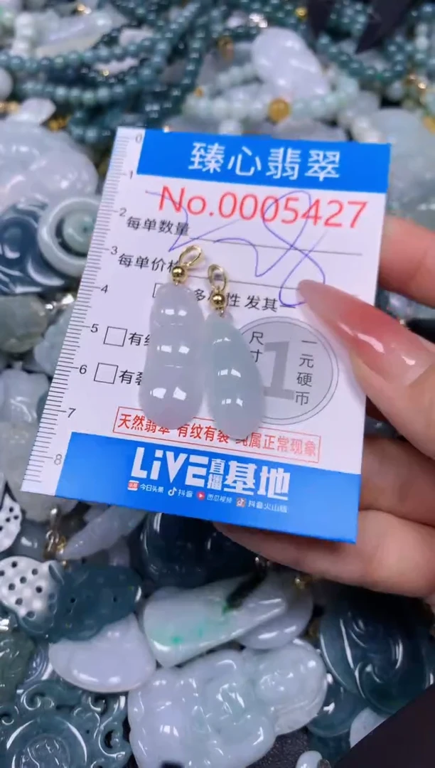 【闪购商品】翡翠颈饰未镶嵌含绳0005427