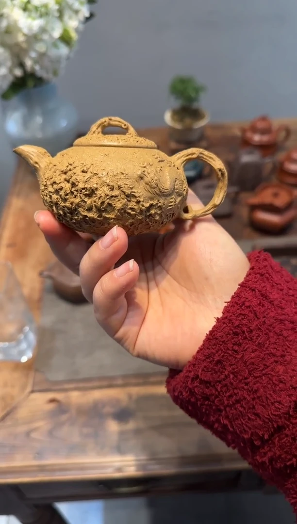 茶壶紫砂??隐龙供春 黄金段