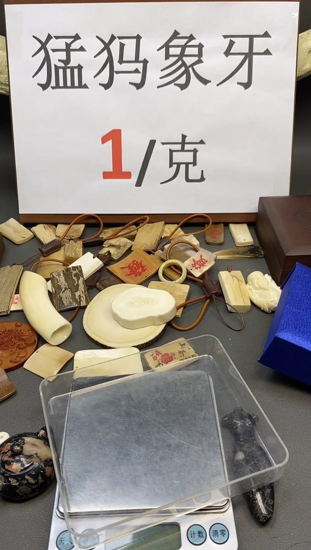 猛犸海胖满脑老型12*11单圈