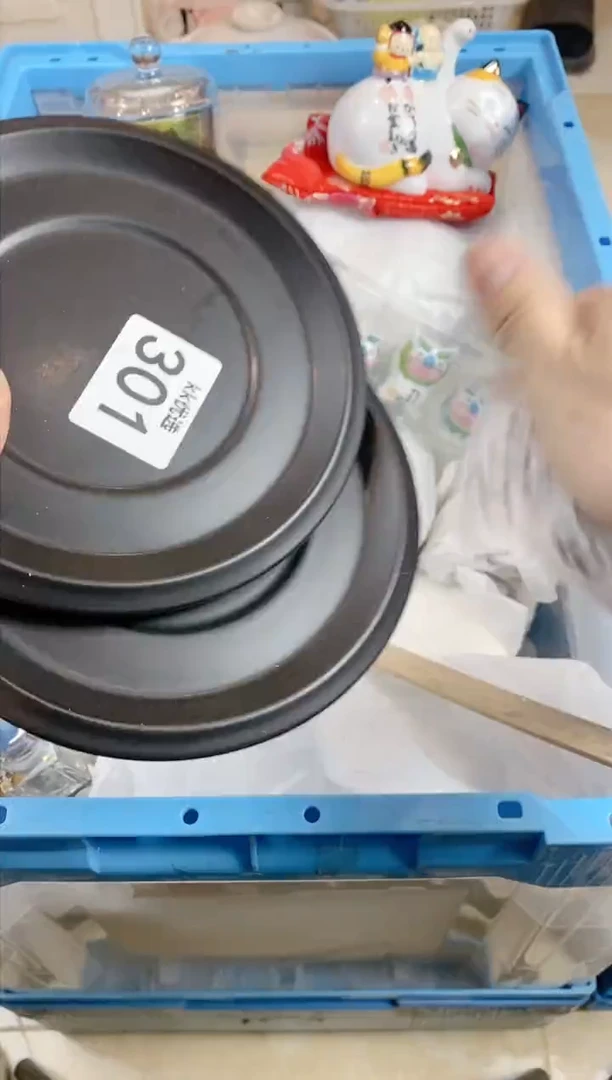 【闪购商品】瓷片301定向 琳琳定向 琳琳定向 琳琳