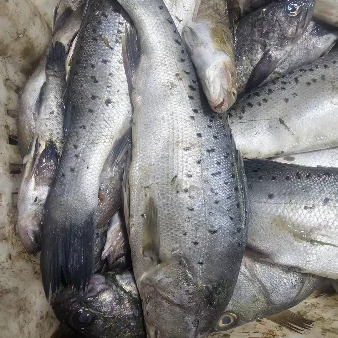 深海新鲜肉质鲜嫩顺丰冷链发货杂拌鱼
