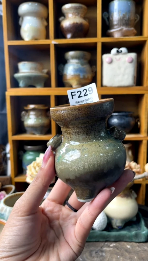 229内口5【多肉花盆多肉盆】