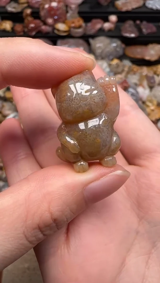 硅化珊瑚（珊瑚玉）未镶嵌颈饰408