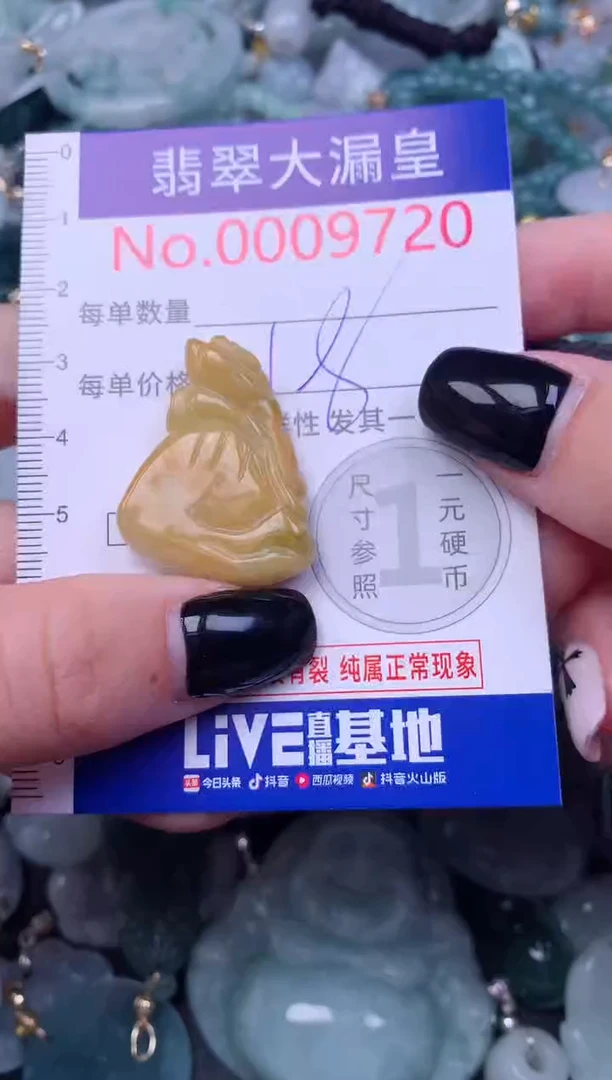 颈饰未镶嵌翡翠9720