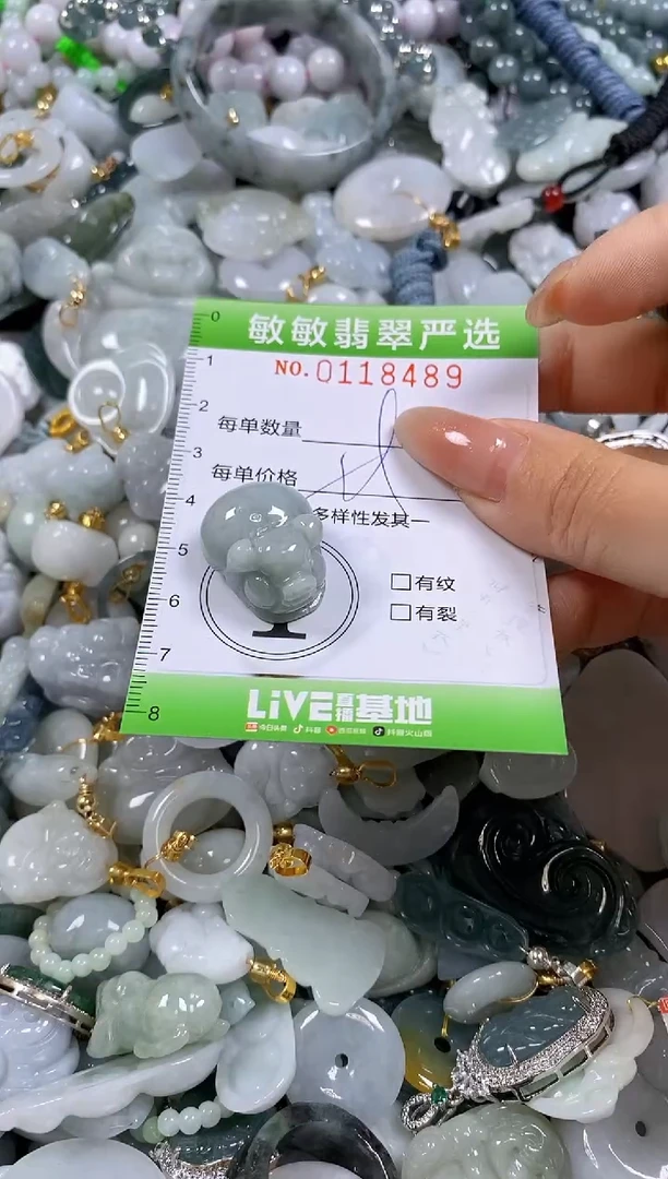 【闪购商品】翡翠颈饰未镶嵌闪购0118489多样性发其一