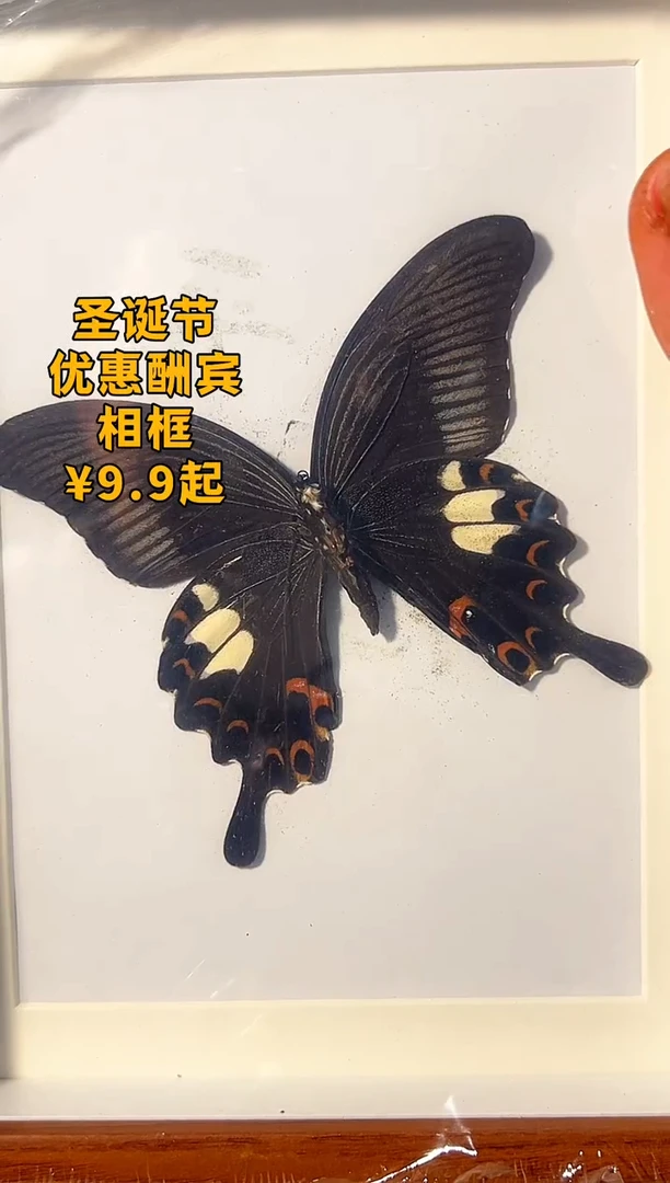 有机玻璃8寸相框