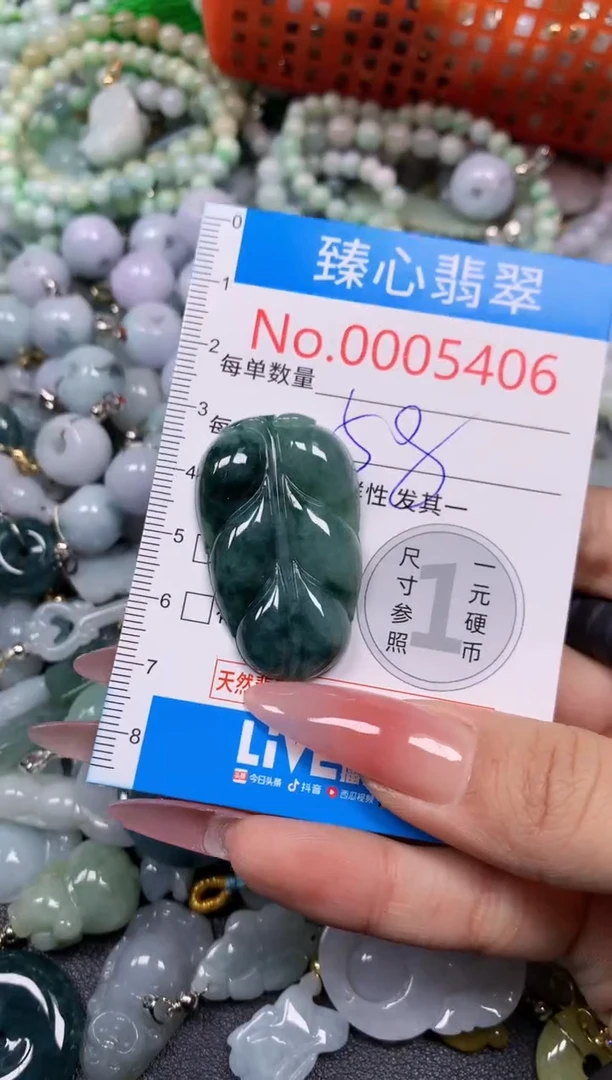 【闪购商品】翡翠颈饰未镶嵌含绳0005406