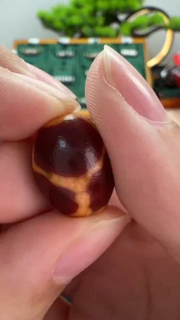 玛瑙/玉髓（覆膜）颈饰未镶嵌109.（微瑕随机发货）