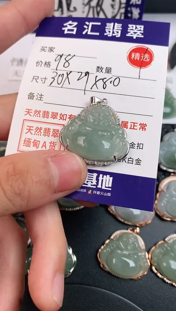 翡翠银S925镶嵌颈饰·