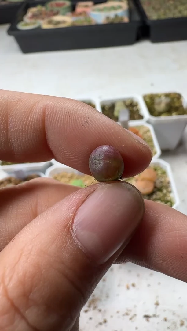 【闪购商品】1/23-181