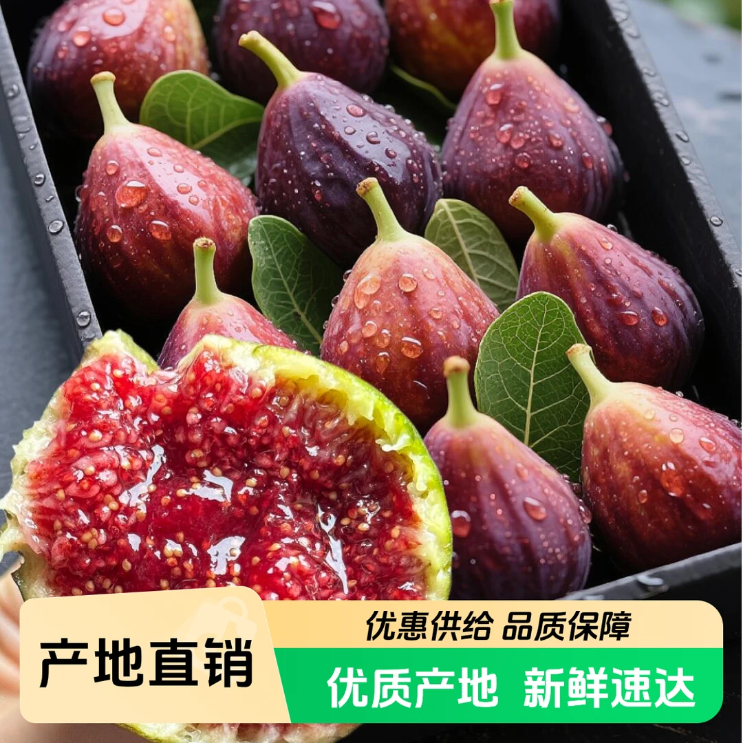 云南红皮无花果 新鲜现摘 当季水果 香甜软糯 清甜可口 只发川渝