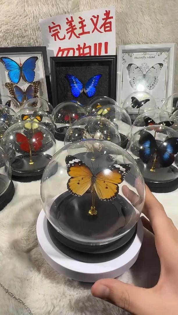 木金斑水晶球