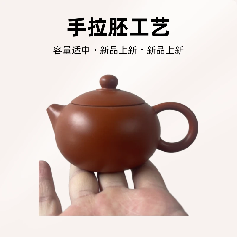 潮州原矿手工壶手拉胚朱泥西施壶家用茶壶功夫茶宠小品容量 100cc