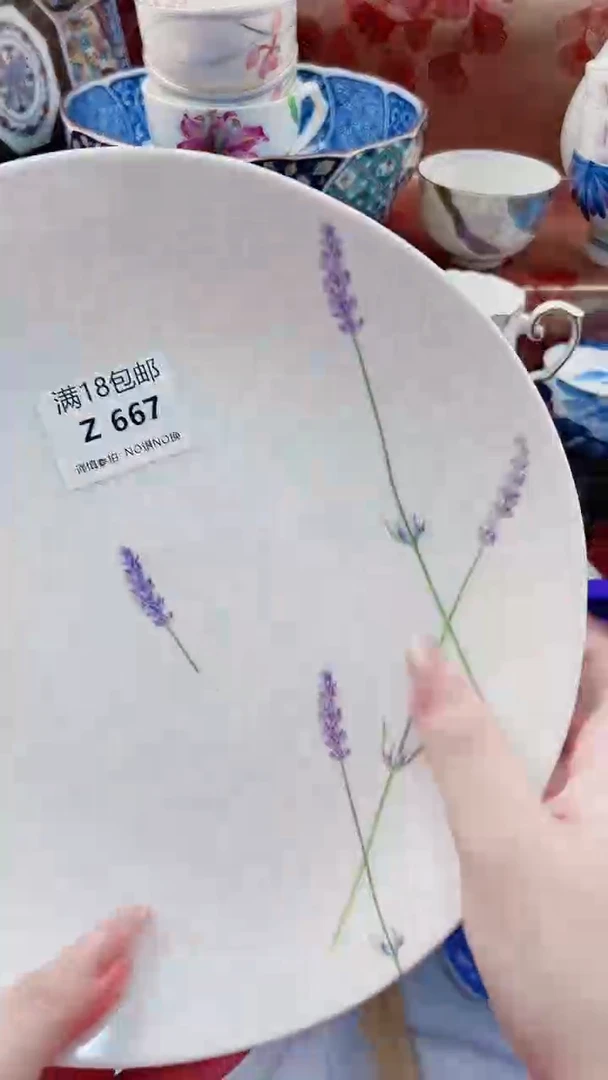 向*走Z667***************