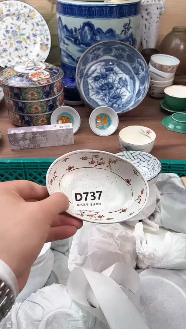 瓷片小****记737