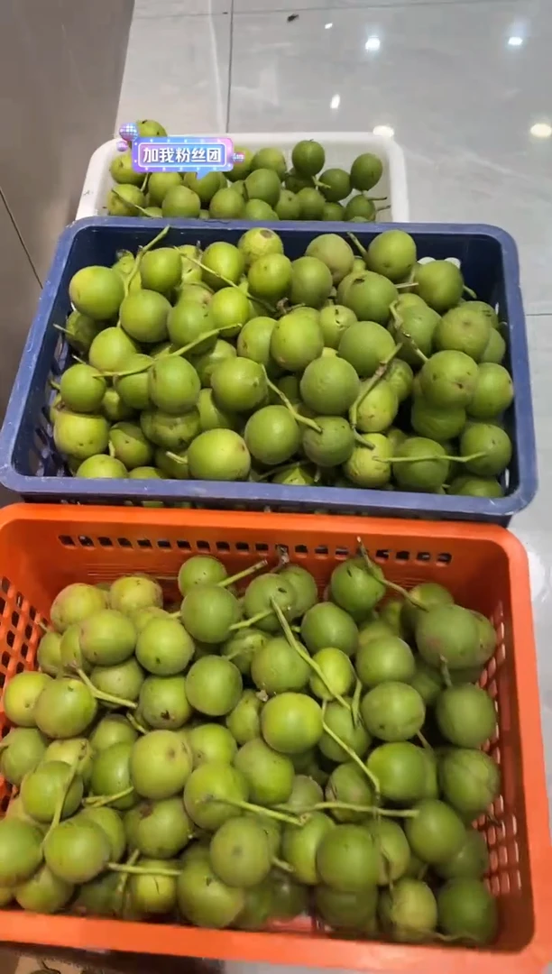 文玩核桃把件【谨慎下单，青皮开起不tui不huan！】盘山20个青皮果装