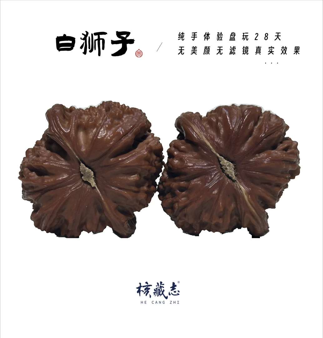 L  HUTU《白狮子》微修