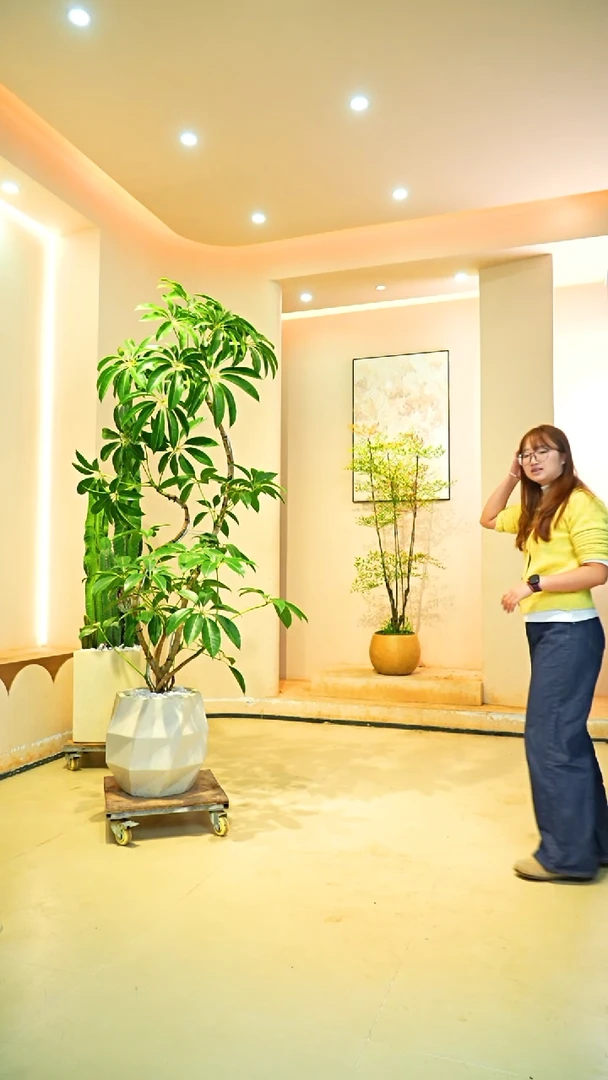 不开花植物安**丁一物一拍落地款保罗