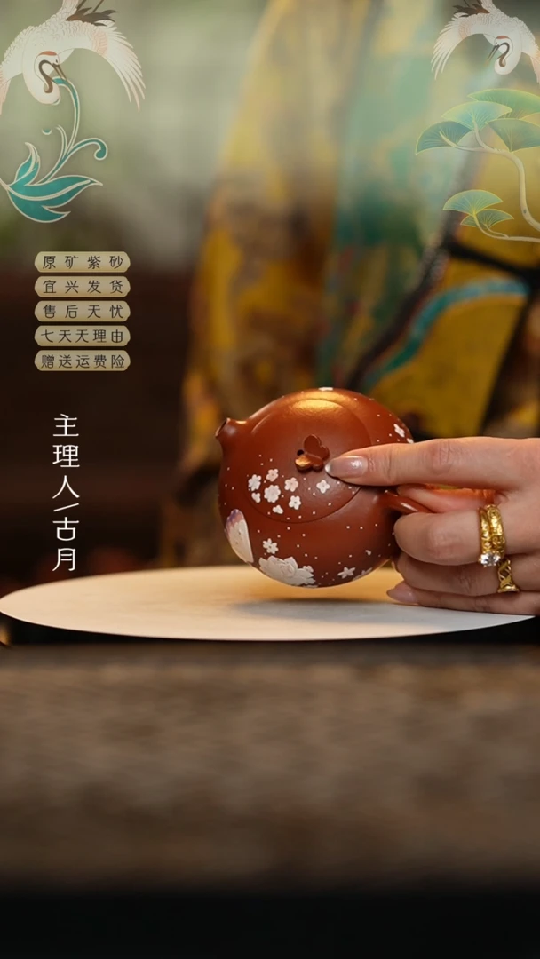 【闪购商品】【古月壶来】大红袍花想蝶西施