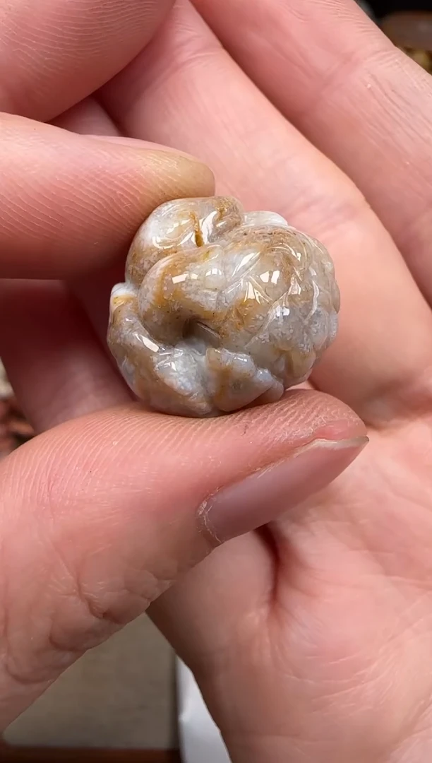 硅化珊瑚（珊瑚玉）未镶嵌颈饰080