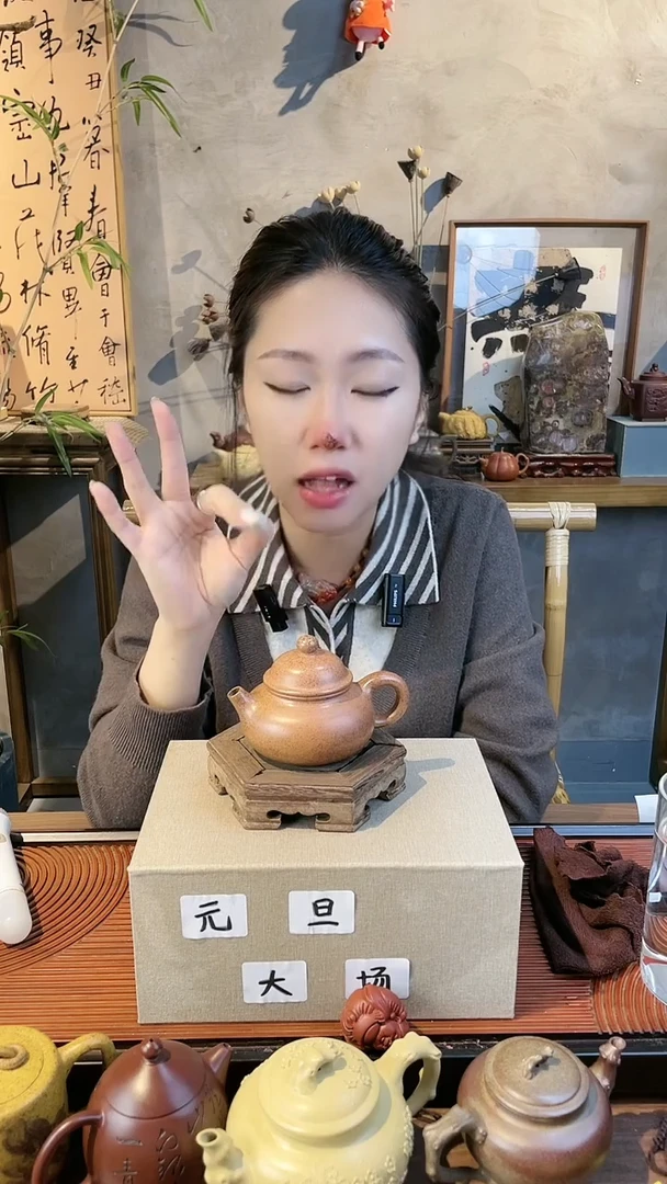 茶壶紫砂高温天星泥小品光器容天